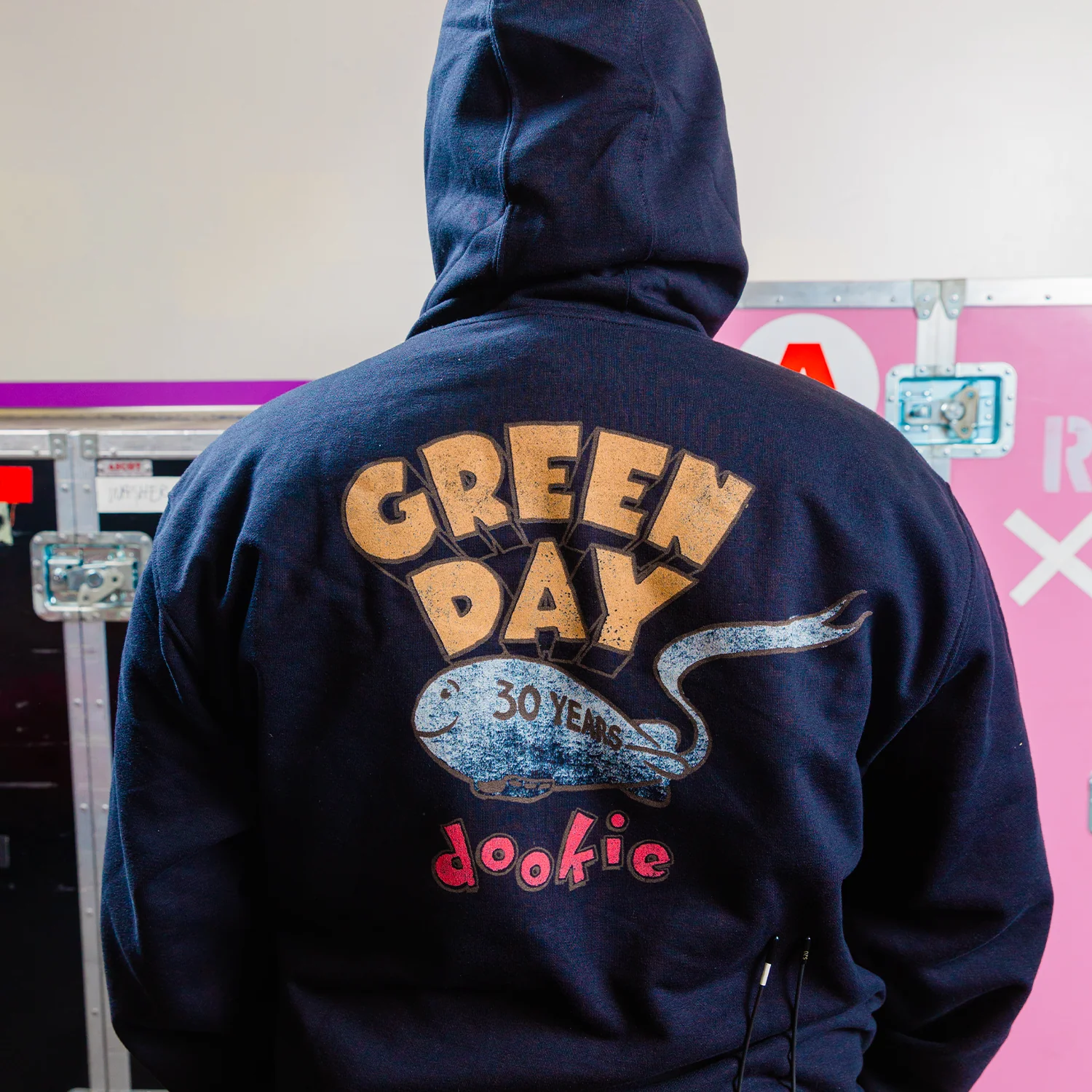 Dickies x Green Day Bad Year Blimp Water Repellent Hoodie - Image 2